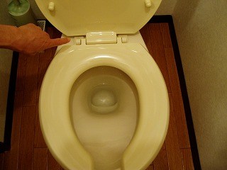 トイレ掃除～便器編1