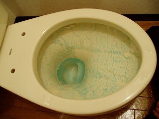 トイレ掃除～便器編8